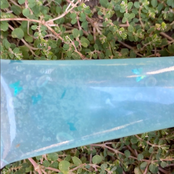 Butterfly 🦋 - Picture 2 of 3